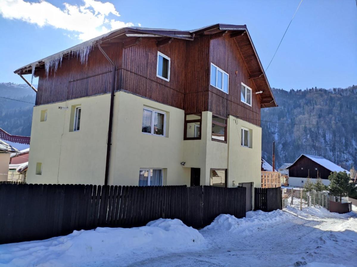 Cozy Attic Азуга Экстерьер фото